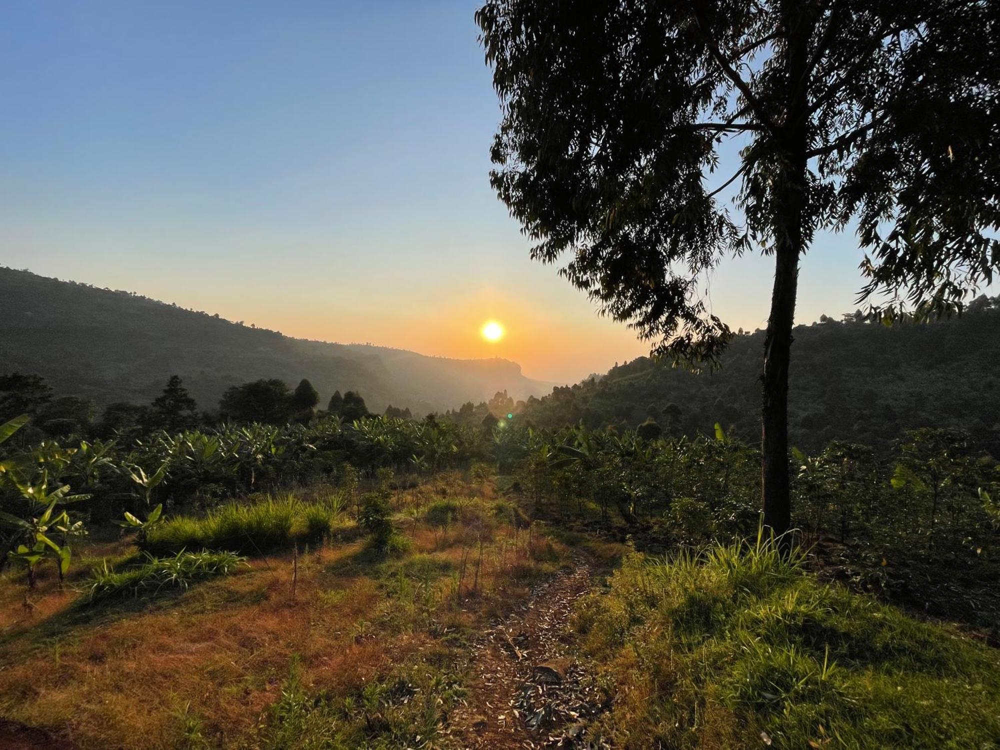 ホテル Rock Garden Sipi Kapchorwa エクステリア 写真