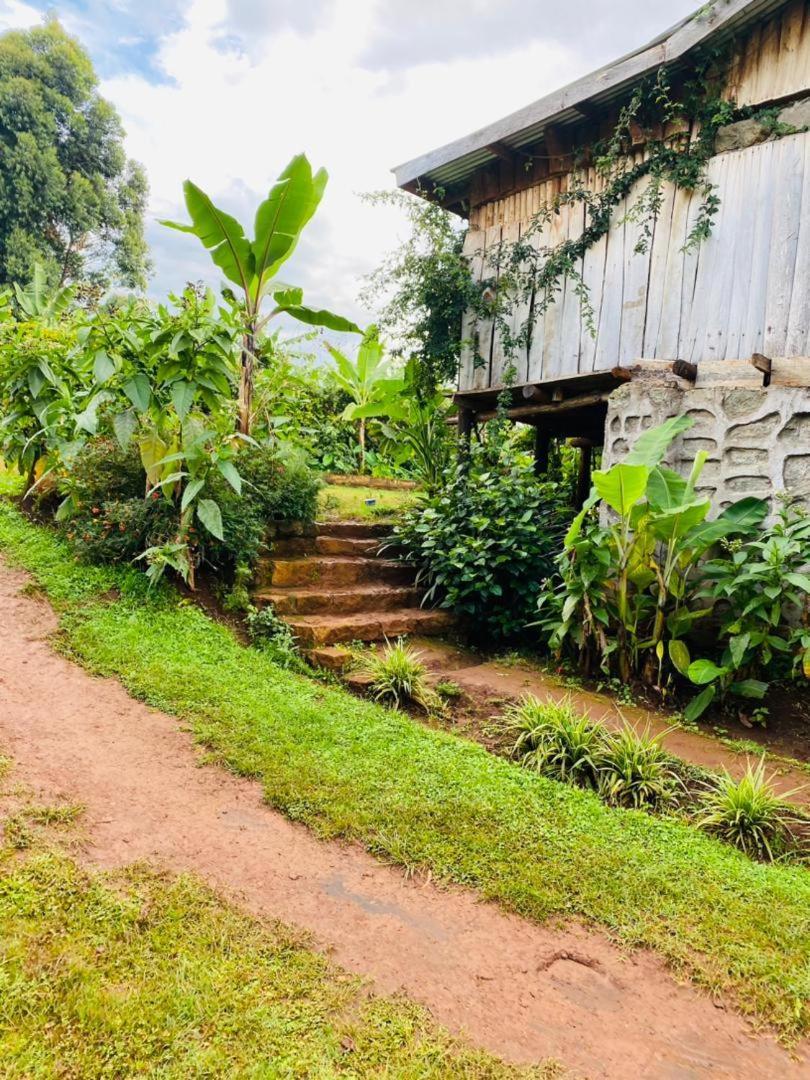 ホテル Rock Garden Sipi Kapchorwa エクステリア 写真
