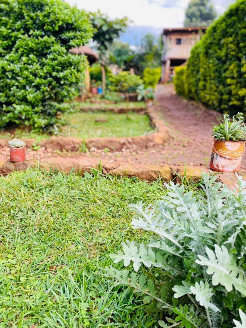 ホテル Rock Garden Sipi Kapchorwa エクステリア 写真