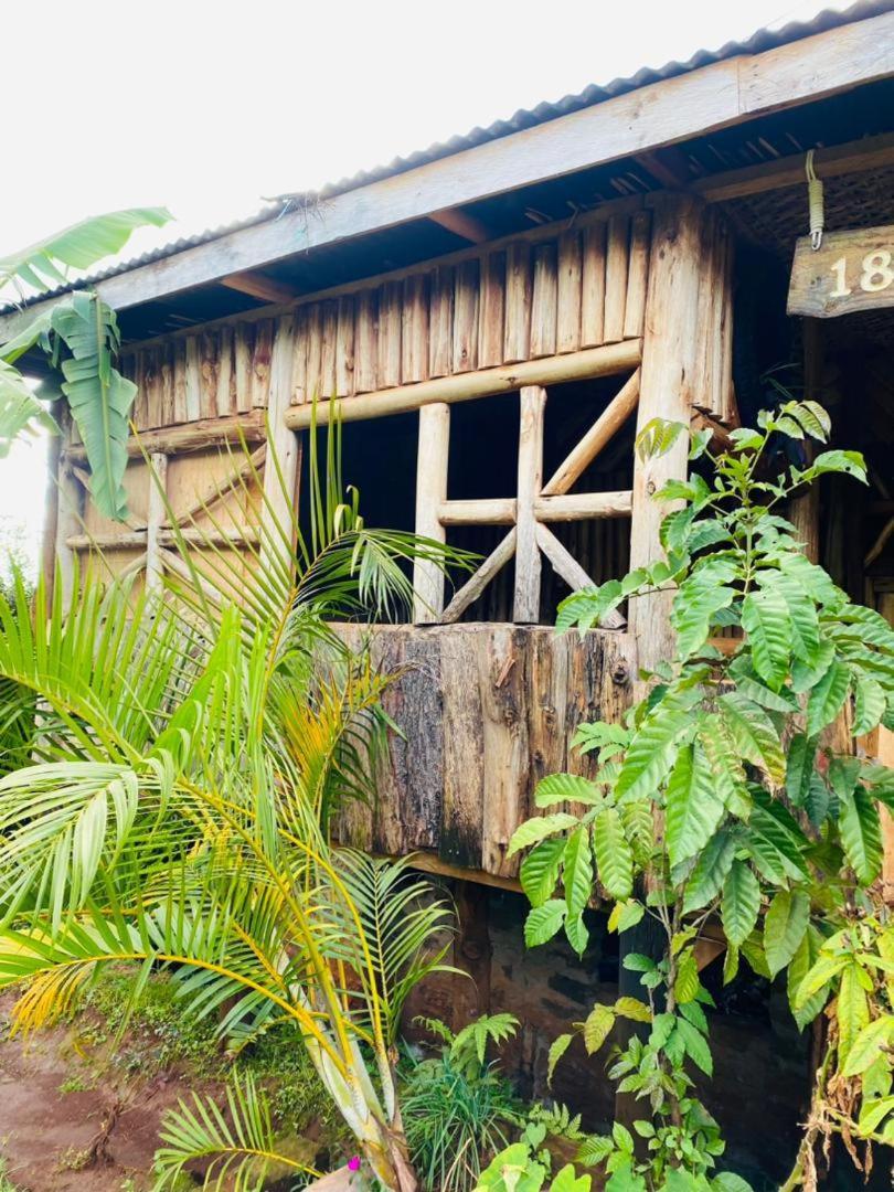 ホテル Rock Garden Sipi Kapchorwa エクステリア 写真