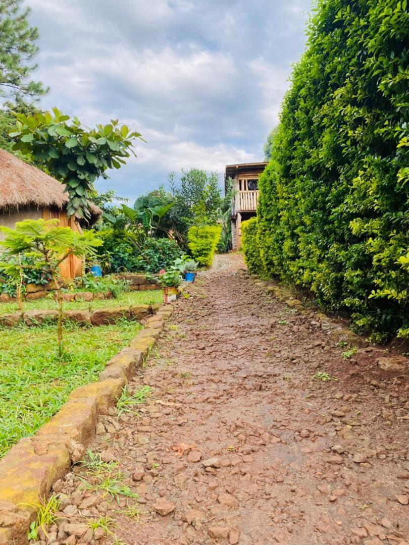 ホテル Rock Garden Sipi Kapchorwa エクステリア 写真